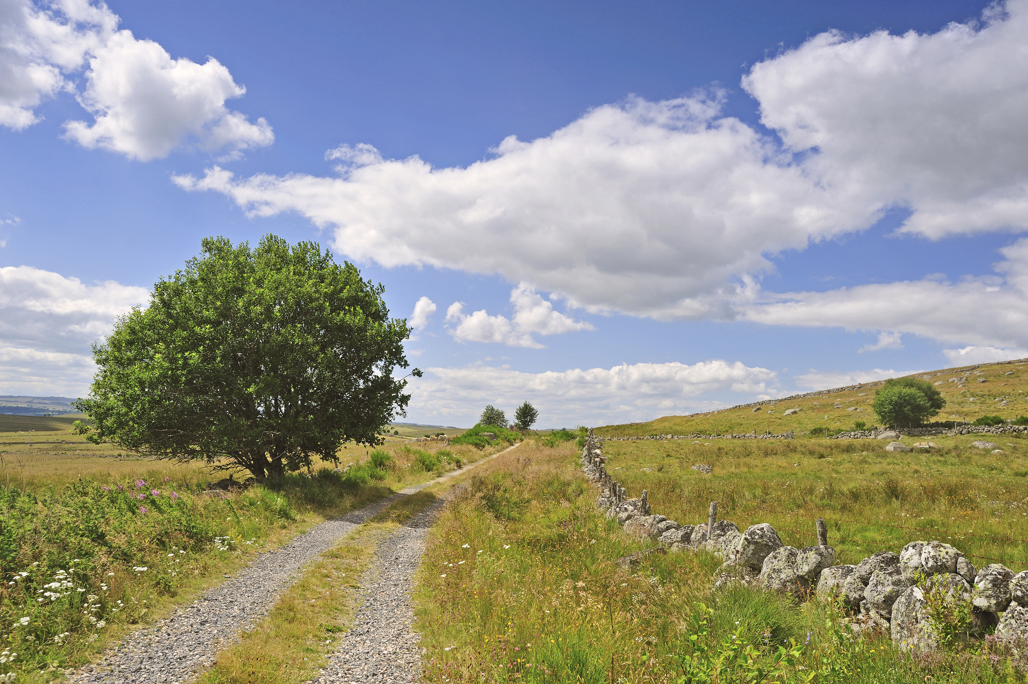 bannière Navettes sur le Chemin de Compostelle