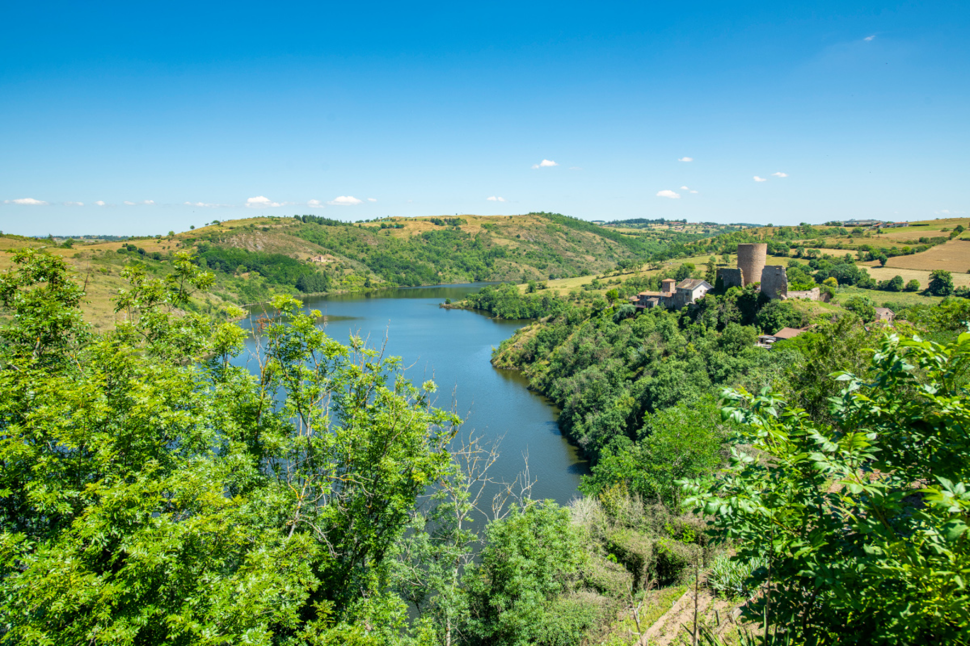 bannière La voie de Cluny 