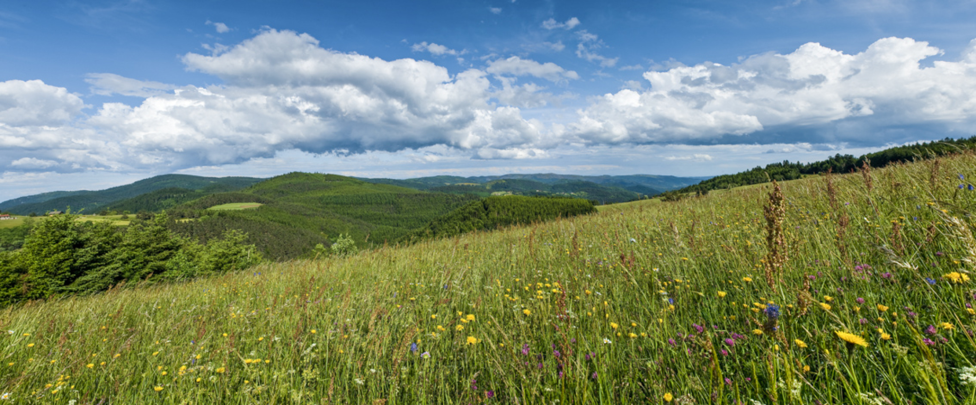 bannière Le Chemin de Saint-Régis