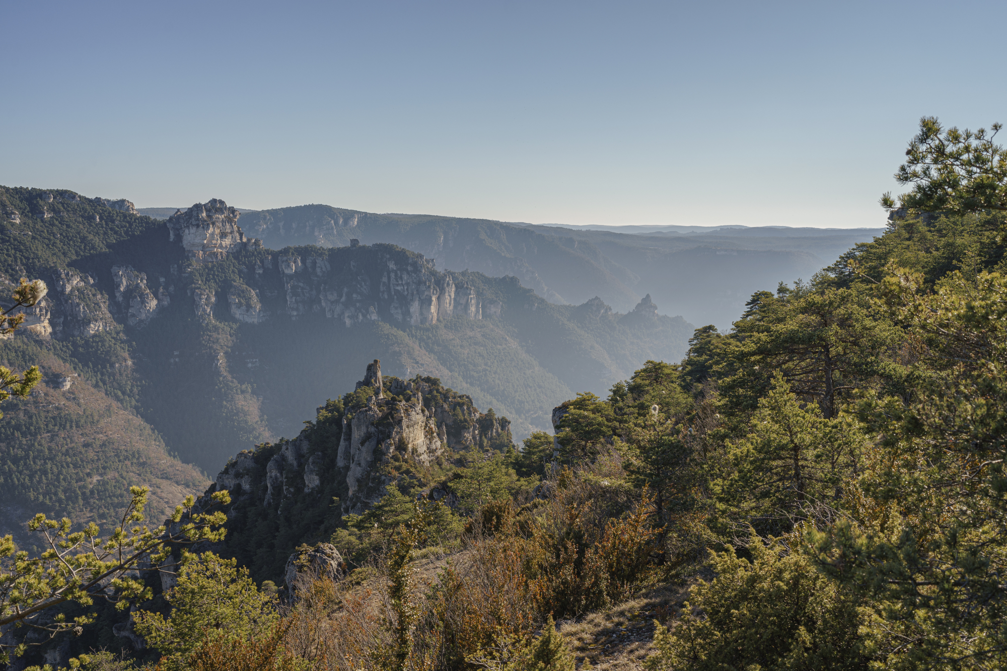 bannière Gorges et vallée du Tarn - GR®736