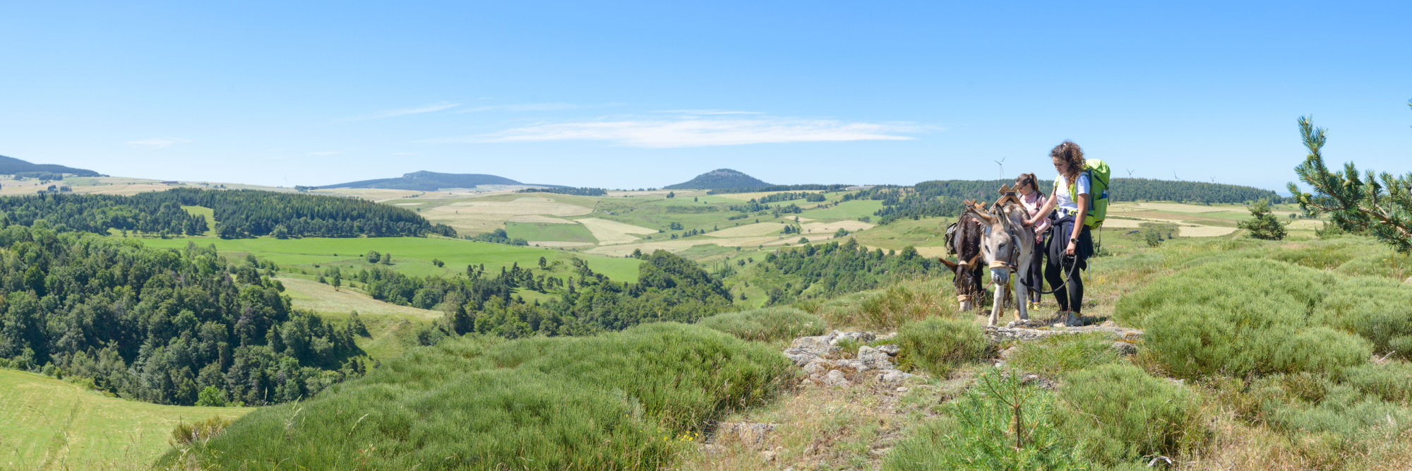 bannière Le Chemin de Stevenson