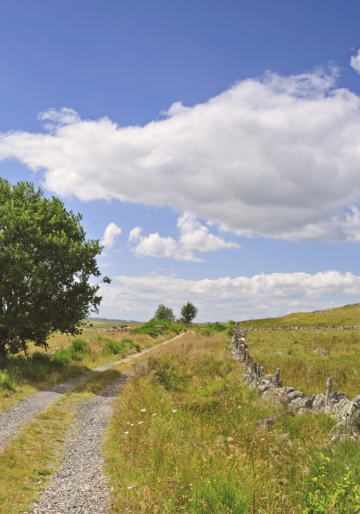 bannière Navettes sur le Chemin de Compostelle