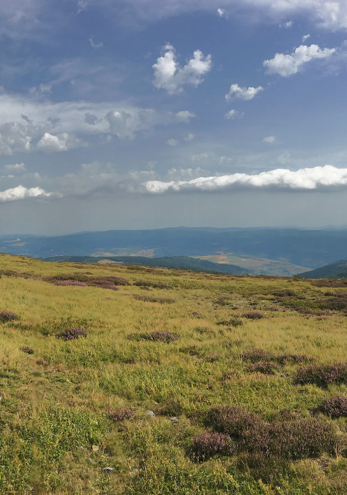 bannière Le Tour du Mont-Lozère