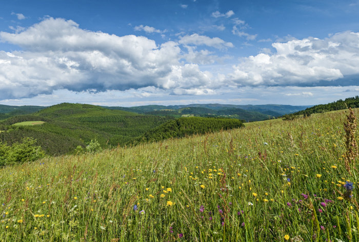 bannière Le Chemin de Saint-Régis