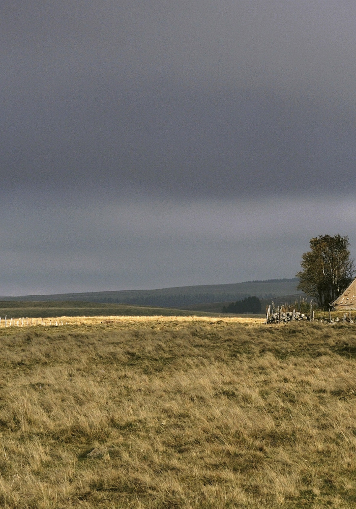 bannière Le Tour de l'Aubrac