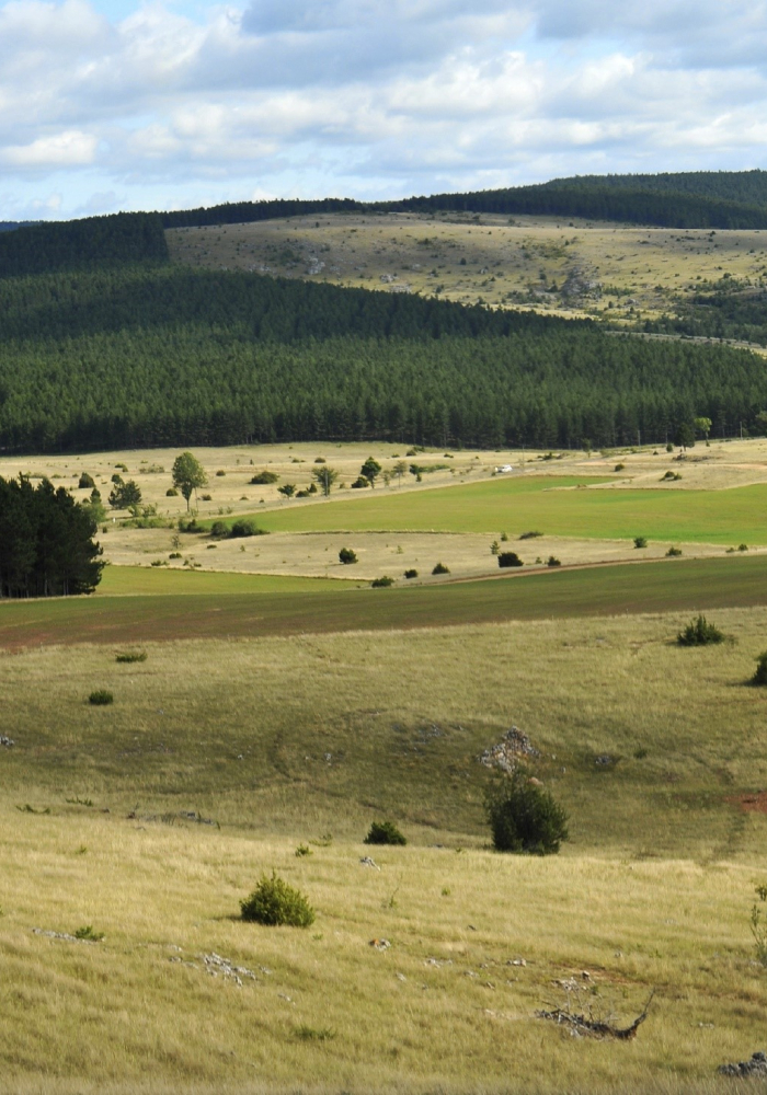 bannière Le Tour du Causse Méjean