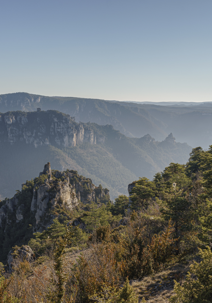 bannière Gorges et vallée du Tarn - GR®736