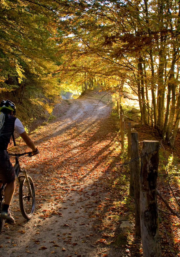 bannière Grande Traversée de l'Ardèche en VTT