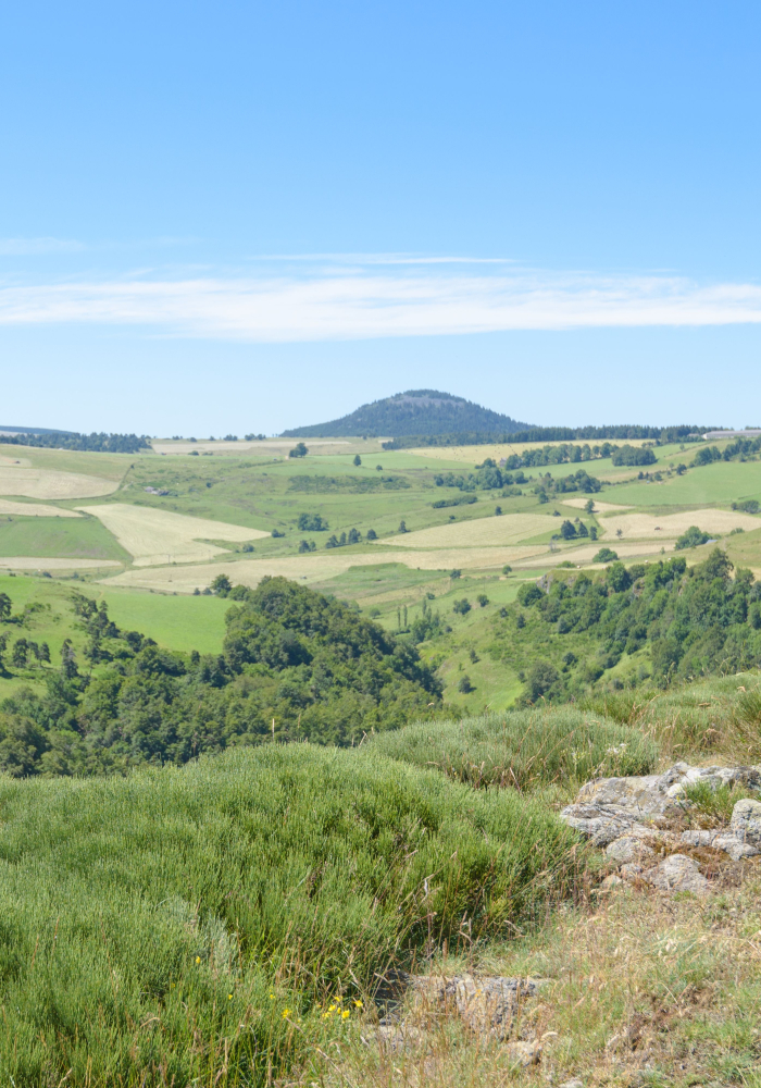 bannière Le Chemin de Stevenson