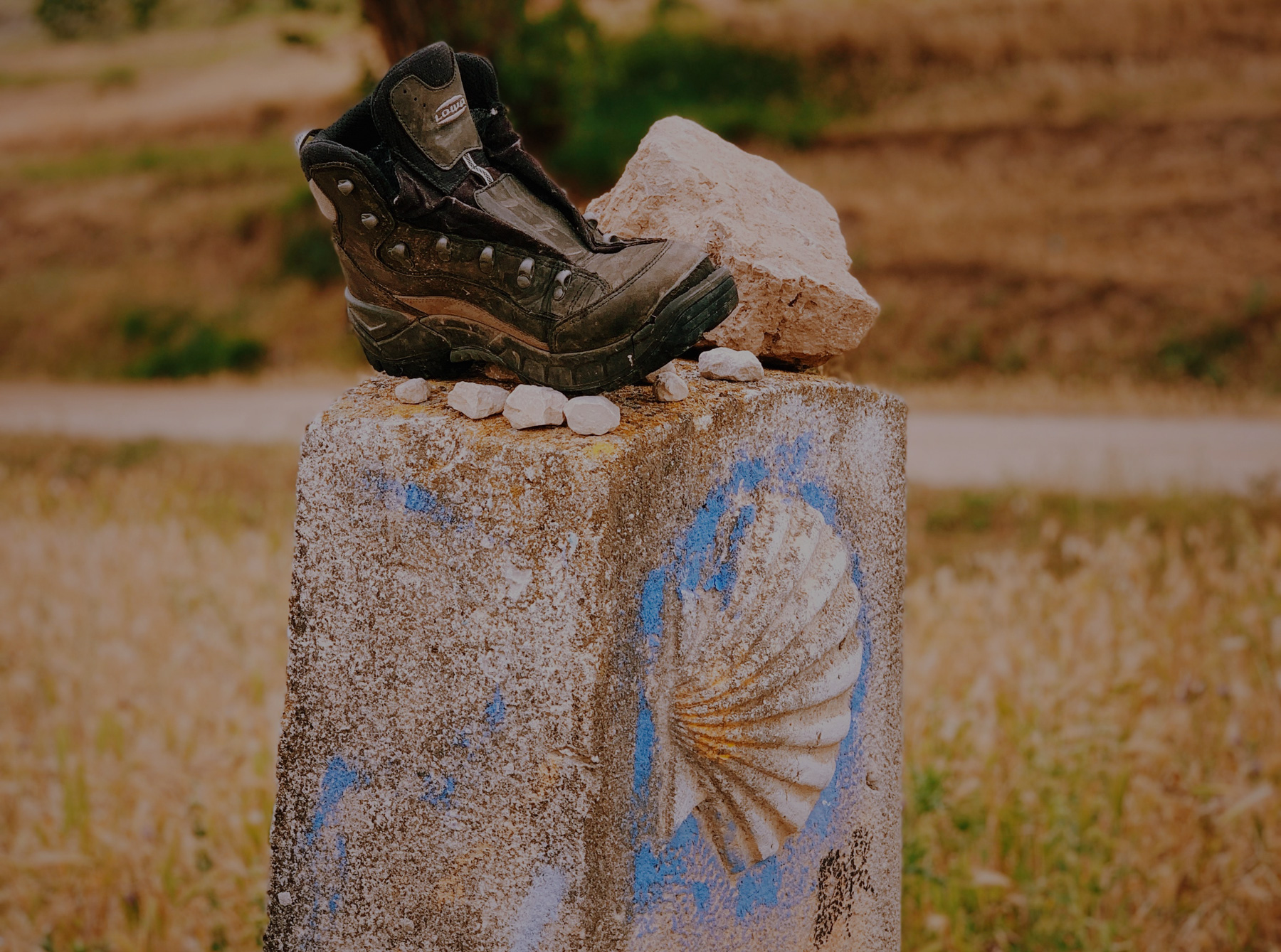 bannière Chemins de Compostelle